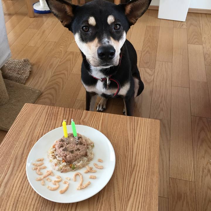 C8aad4b7 8203 40a2 9e07 7040bfd9e7e9