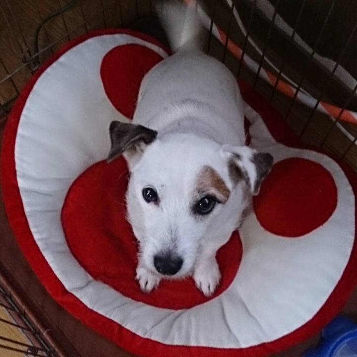 C8ab173e 0a72 4a51 8093 01949becddbf