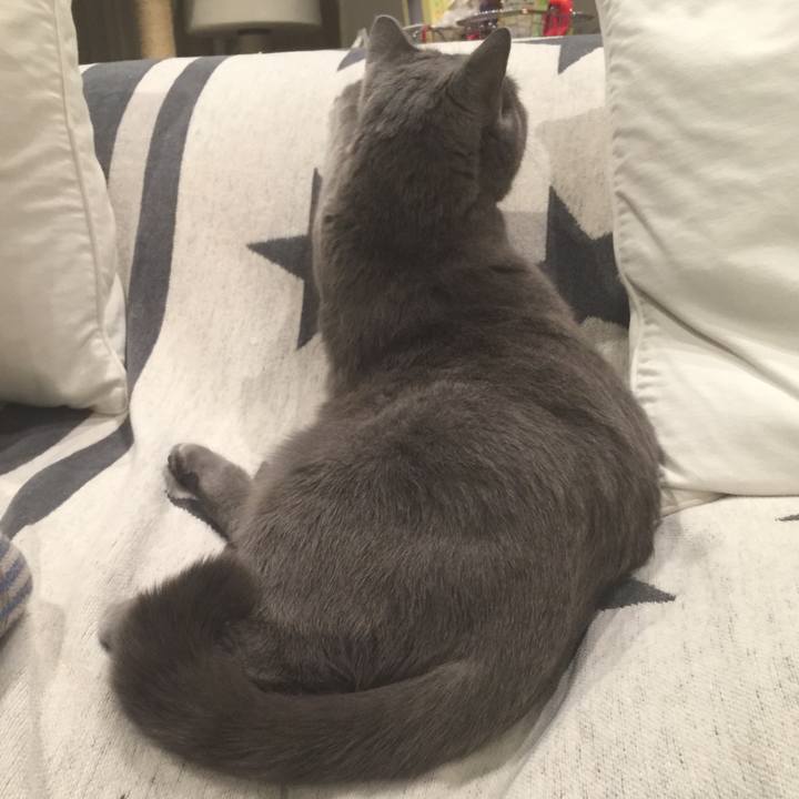 C8ac2e0f 09e0 4414 a511 97ccfc045821