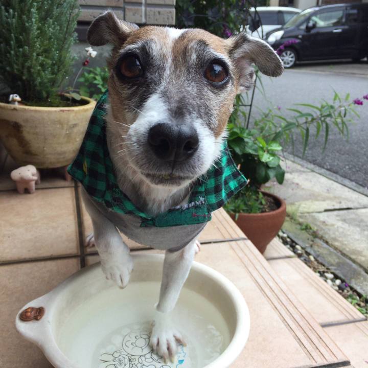 C8ac3772 8332 4165 99b4 eb9989c992c1