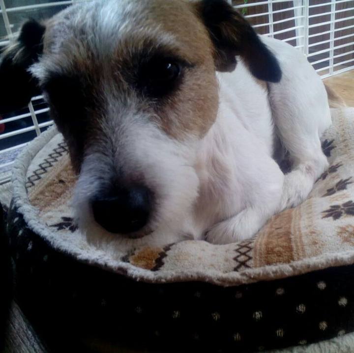 C8acad01 de09 4518 92a9 0e69d5a8f116