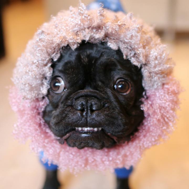 C8ad2b8f b30f 4f05 a855 09fa54b4c322