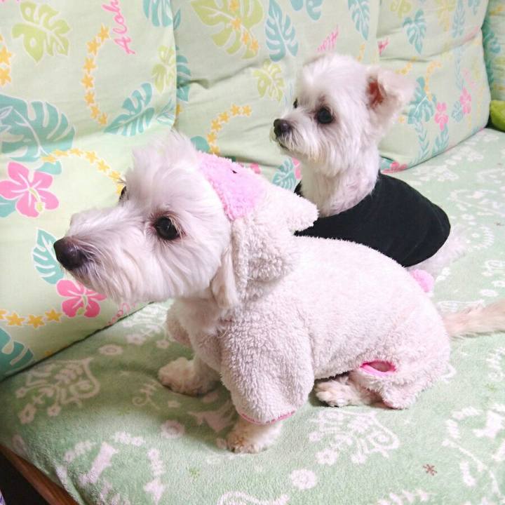 C8ad5a92 bc78 4908 9441 e90de944474f