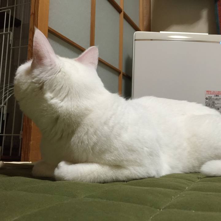 C8ad84ba 9362 4841 8cae 1cc8eaabd067