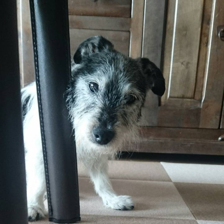 C8ae1e32 8d42 4d49 a901 41013c2b48d6