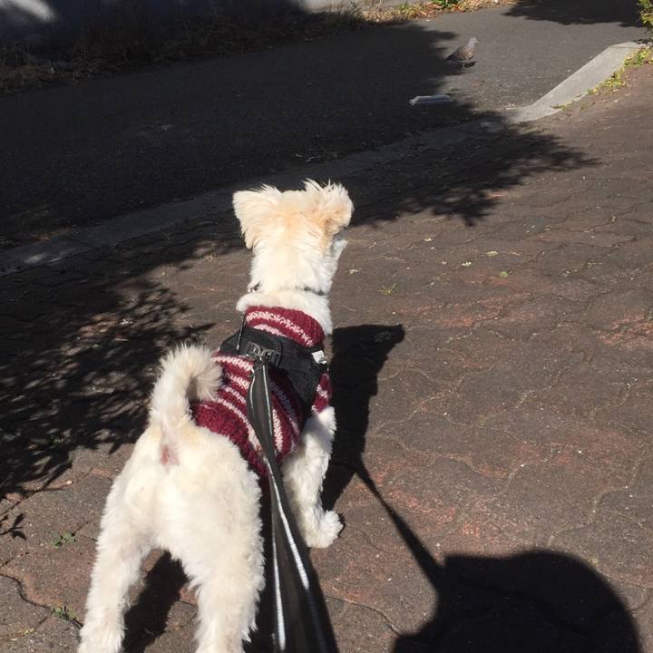 C8ae472a 19f4 46ff ad9c 631847f10a2d