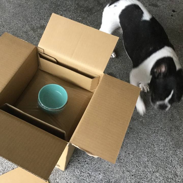 C8af2c59 da00 4a99 9f13 5aa3c253e8e3