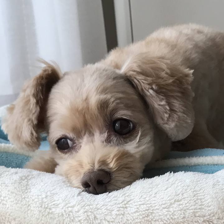 C8af4b5e 1fa5 43a5 9565 0e22f407fc90