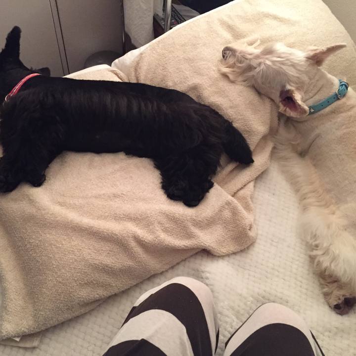 C8af4d9b 979e 4321 b7d4 06710ae787b7