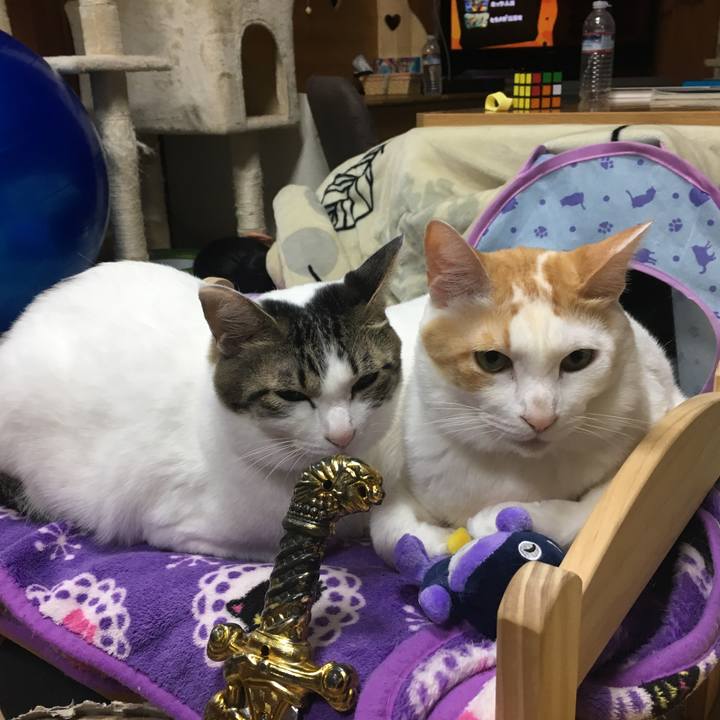 C8afb2c9 2f52 499f 8f2b 3ea4e34e8a07