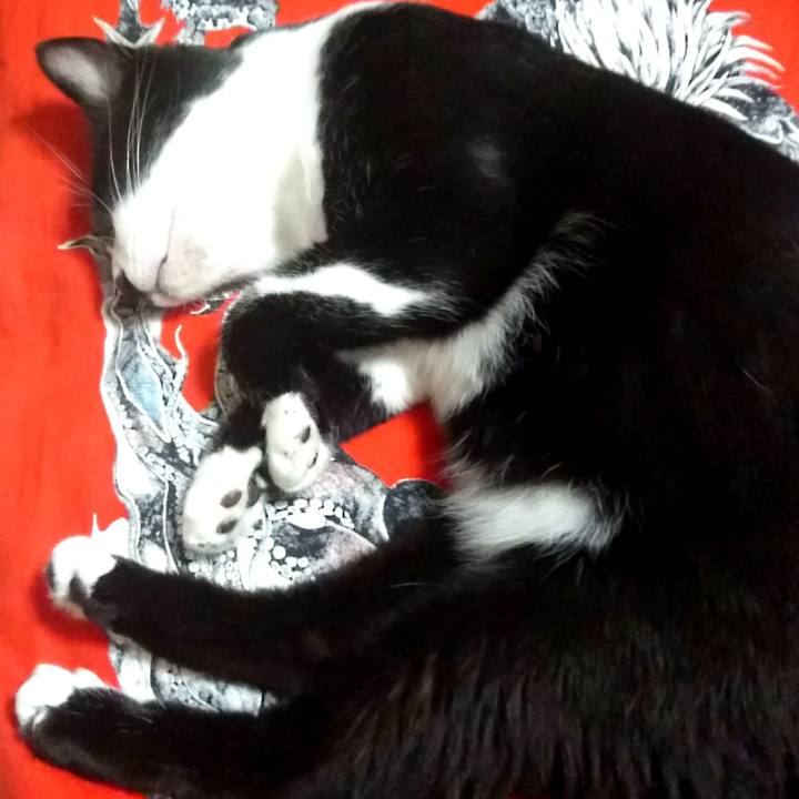 C8b07754 56db 486b 8063 58c82f8f0f86