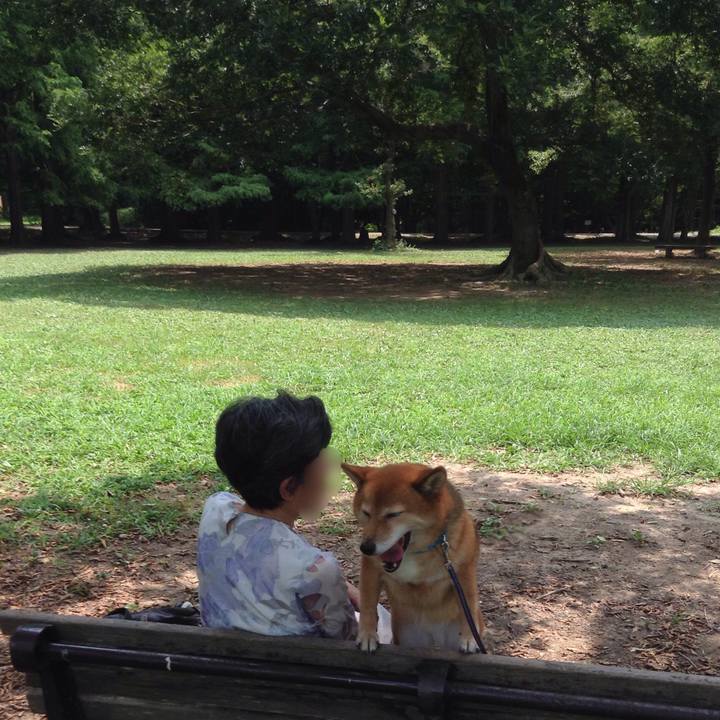 C8b107b7 2c07 4899 99e3 746d5dbd6137