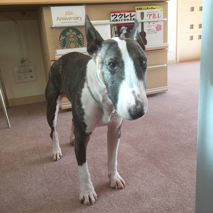 C8b1270b ac6c 477e 9cc3 dcb46429daac