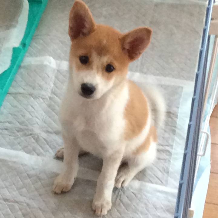 C8b20268 b11d 4be5 840d 05f01a3ff630