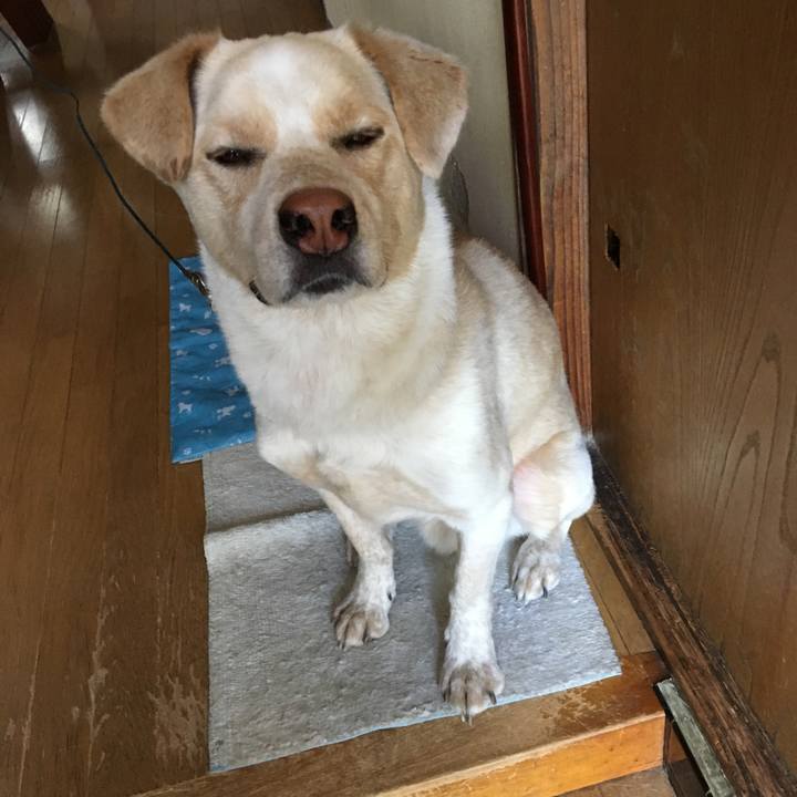 C8b34992 2f52 482e 9f13 feb0279af136