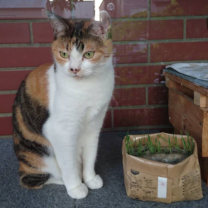 C8b37798 f000 4954 9abe 5f35bf47d454