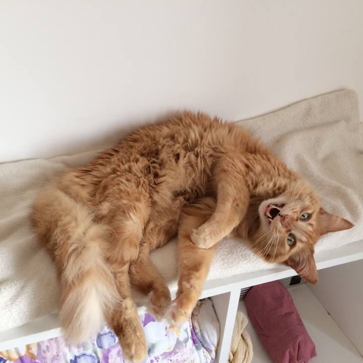 C8b3bee2 cbfe 4301 b859 988af67ecbb9