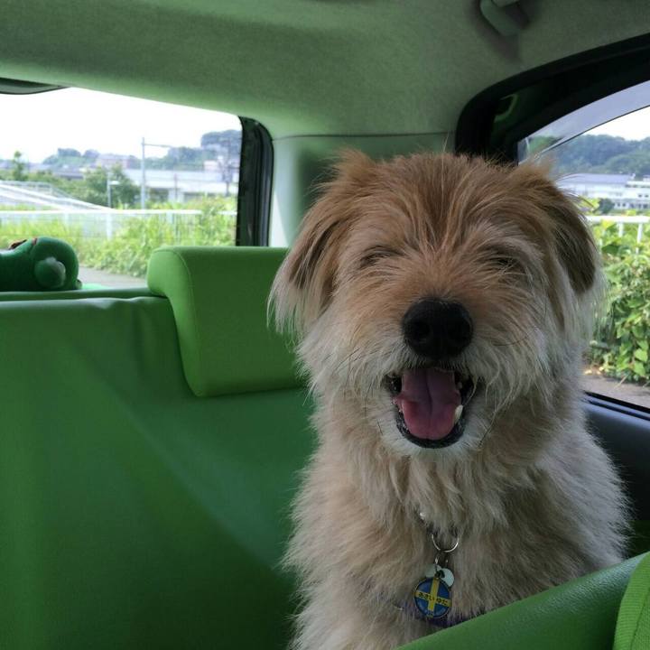 C8b4ea2a 472f 4ff6 bb69 eb0f24171c5c