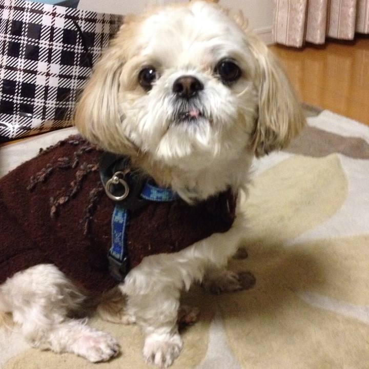 C8b571ad 026f 48b8 8ef4 9ee1dc8b81c4