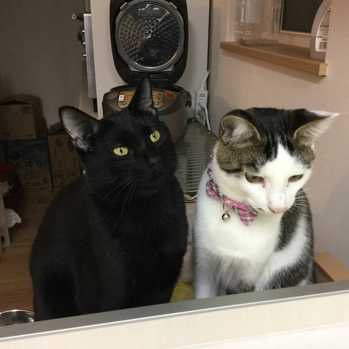 C8b5ad8e 39dd 43e4 9976 32e04aede550