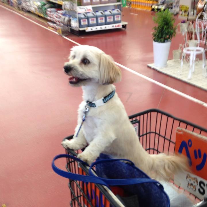 C8b63532 fb52 4b19 8330 4ba8b97f6259