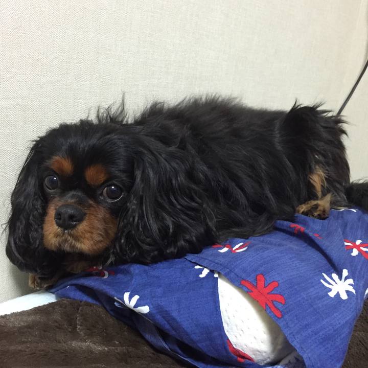 C8b6cddb 8caf 4b69 b20b a01ce9a24563