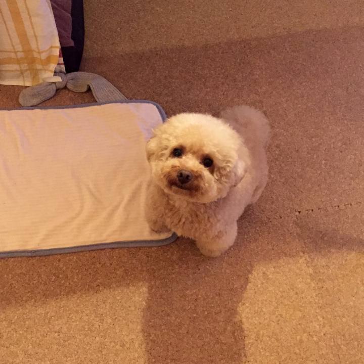 C8b70342 f504 4b06 b36e 9265b69182e0