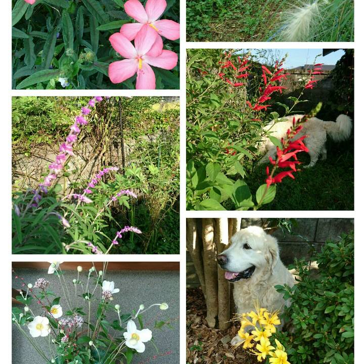 C8b70b98 f2f7 4c7b bd50 4a2efdaeecf6