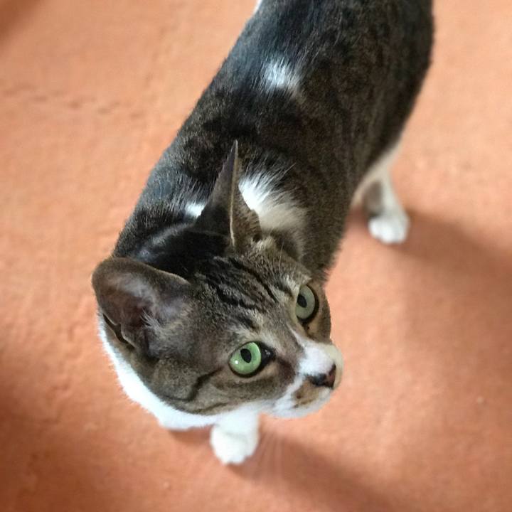 C8b7c498 2cda 477f a8f4 a2c8428707f5