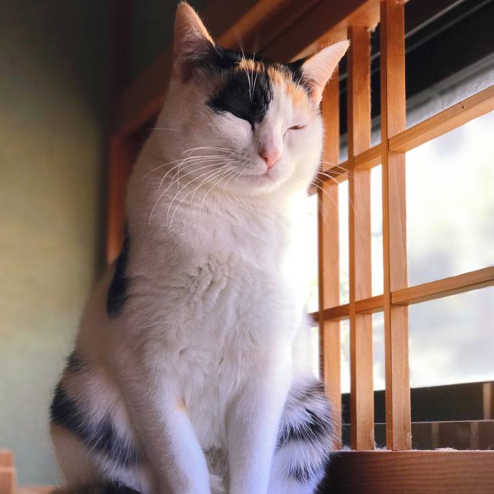 C8b7d39f d73e 4a53 b137 67fb989820a5