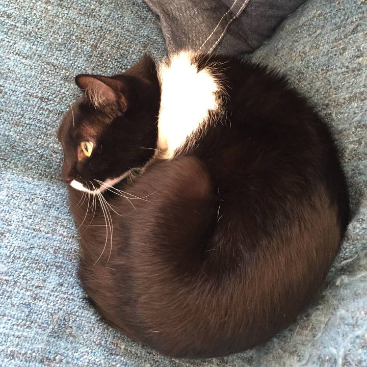 C8b85b32 0a7c 4640 aed2 0546e5aaf70c