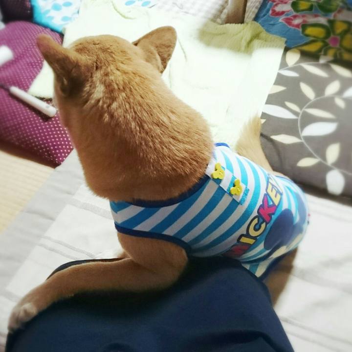 C8b85c1e 47f1 426e 9110 2a73e77ab921