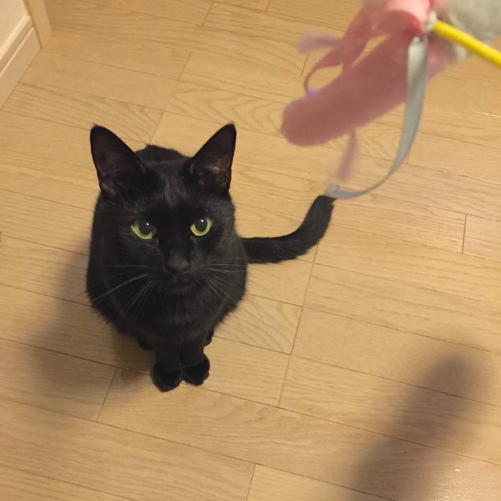 C8b9cfb2 b933 4e42 bf8f 809fe095e703