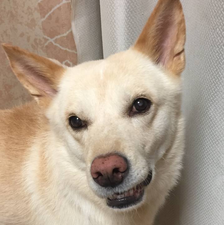 C8ba1a31 456f 48d4 a71e 238b71a43388