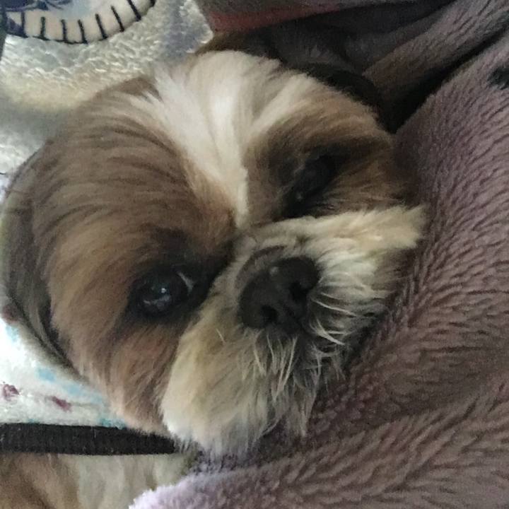 C8bb2d91 7961 448b bde3 eab737d04f44