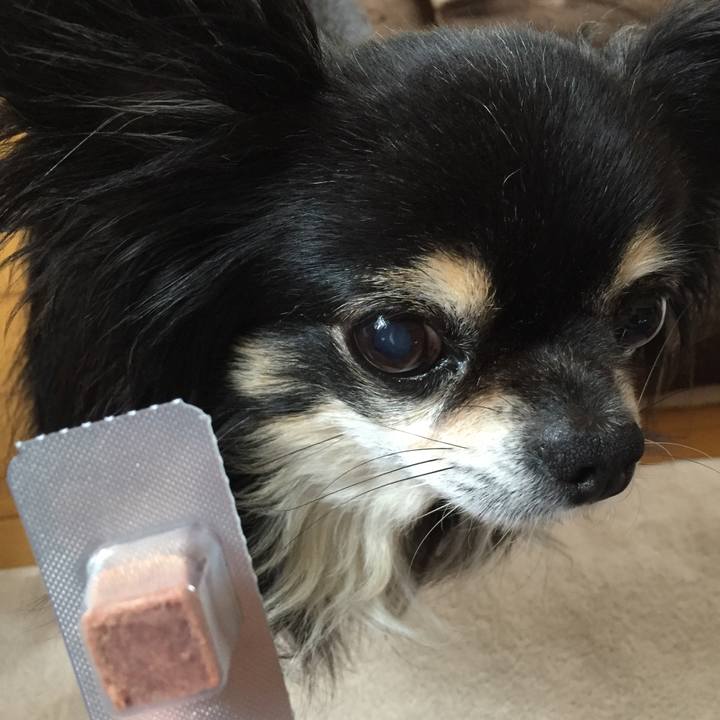 C8bb7b10 7f35 4f63 a5a1 dbd461baa7df