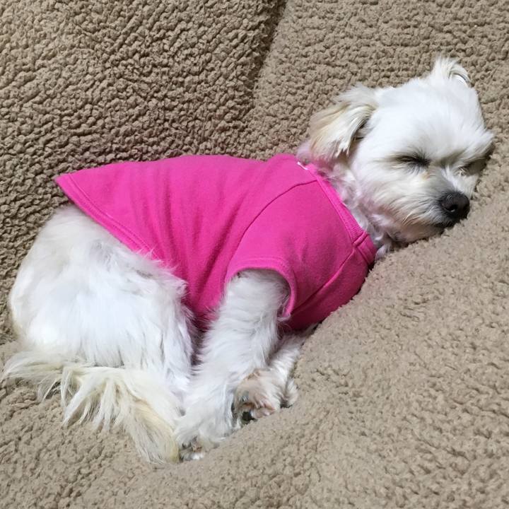 C8bbd1e1 f770 476a a554 de9c8c40c58e