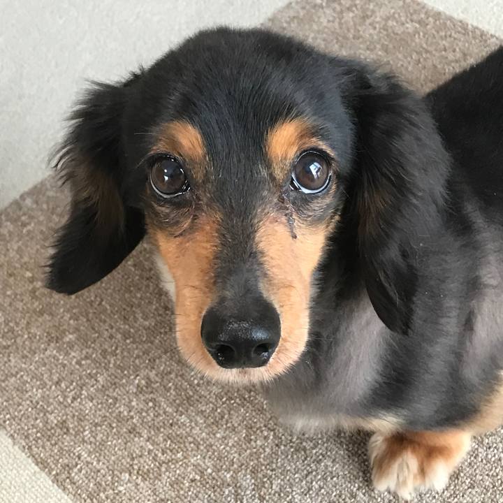 C8bc0637 111d 4439 bfc4 fdc213d147c7