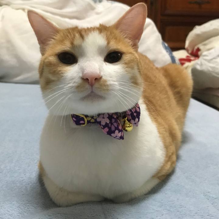 C8bc2944 d141 48cf 9ca1 cbee93a07fcf