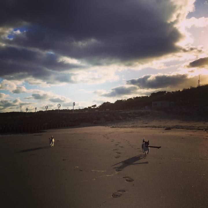 C8bce55d 8634 4ab4 bdc6 0ac2821b8e6c