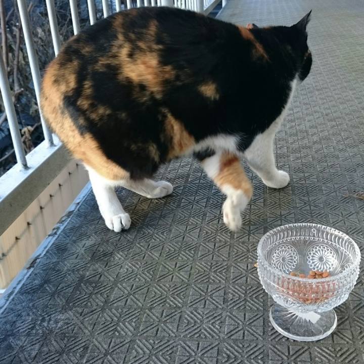 C8bd2492 983a 48a8 8514 7018c78dde1c