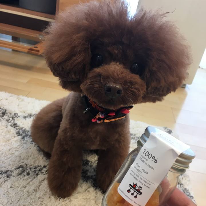 C8bd8295 4811 4c5e b6c4 776ebe9503ab