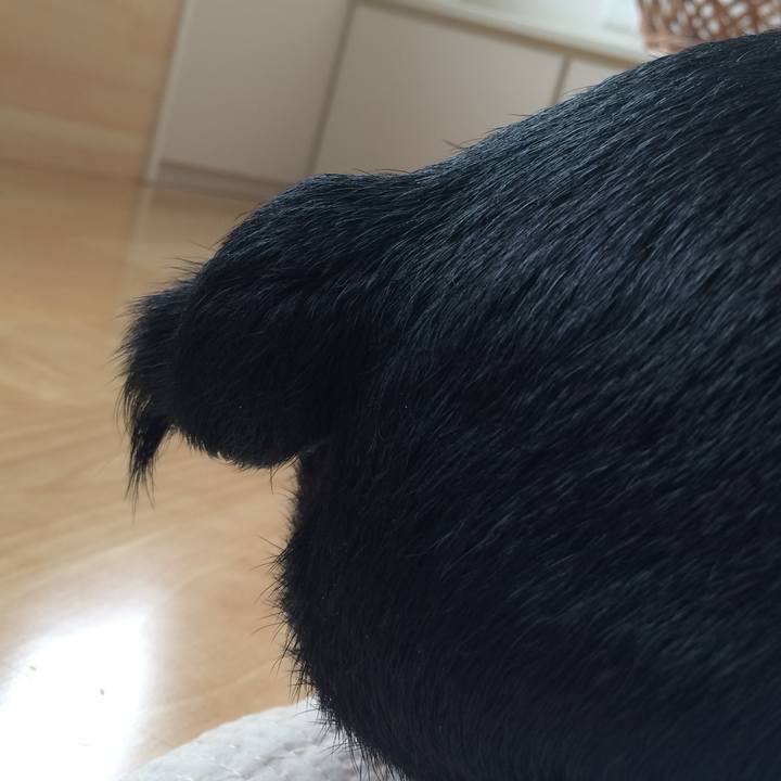 C8bda5a4 be5a 48e2 b716 d003bc89d450