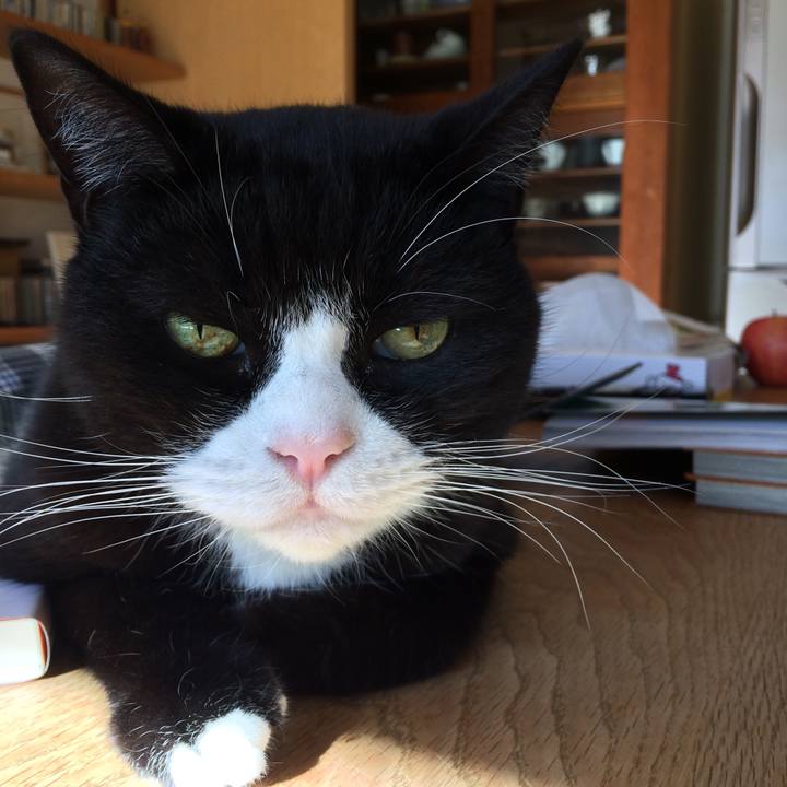 C8bdc992 46cc 4745 bb11 2fa94fd922bb