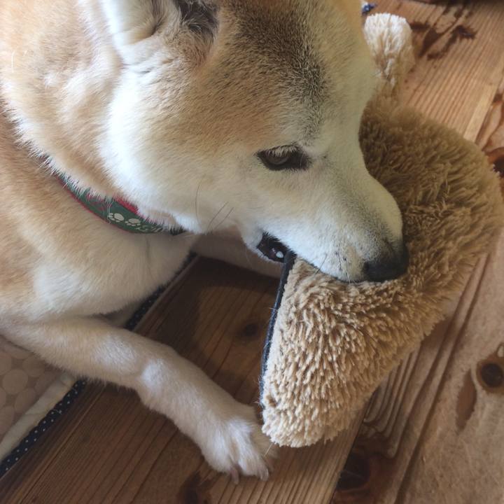 C8be0e79 022e 4ede 8088 279810d3b35d