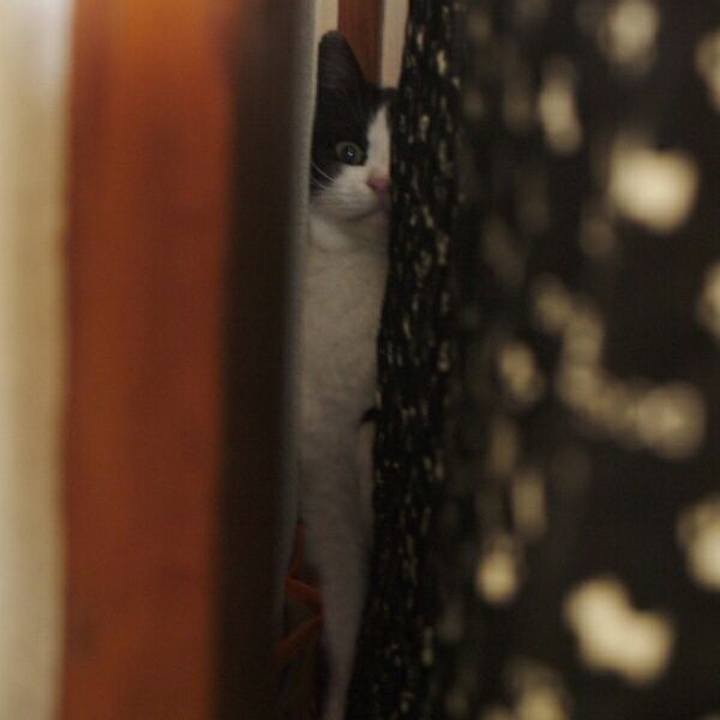 C8be72c9 9e09 4fa0 af62 869a542de1d2