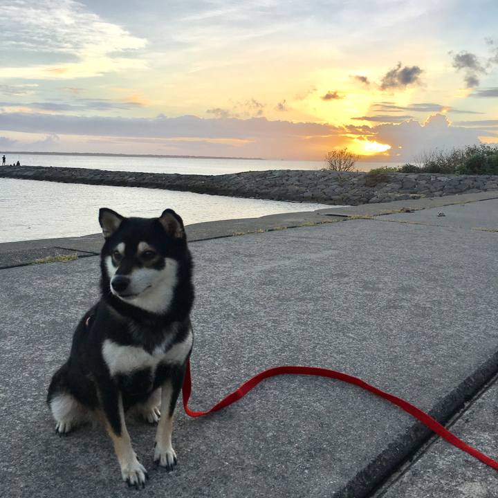 C8bf198a 34ba 4443 b1a1 f1659e3aac91