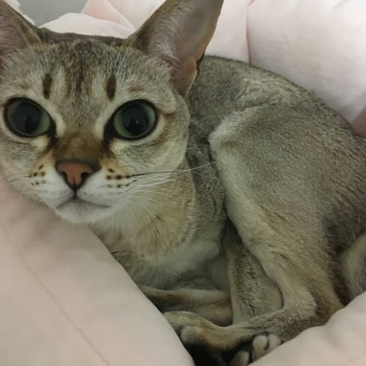 C8c01c98 bcb1 4e3f ae9c 6f65d24d0d53