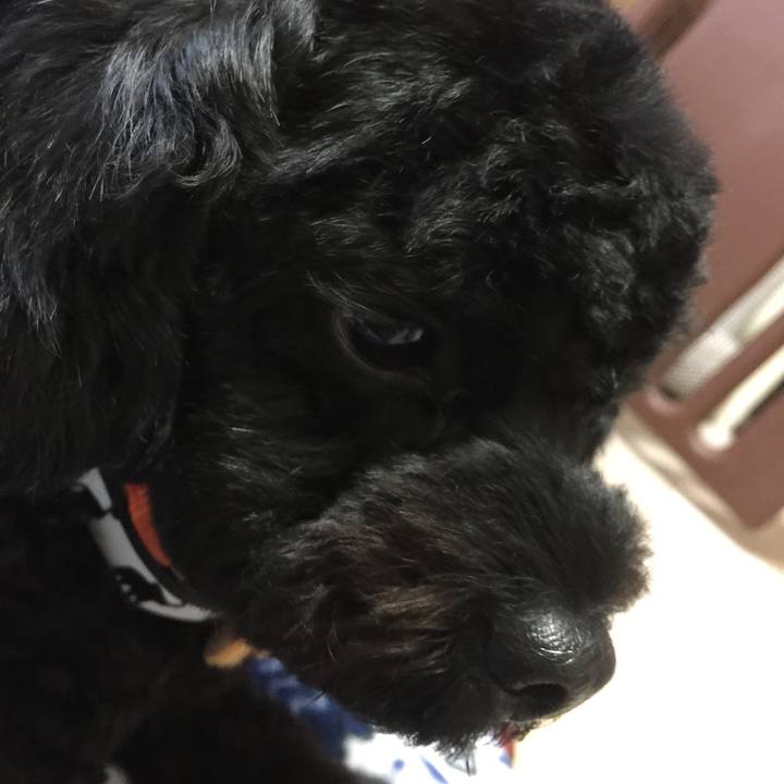 C8c04232 1ad7 4aa9 bfcc 03183a47a202