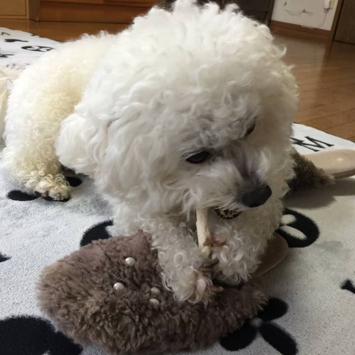 C8c08f0e c6ea 4378 94c0 a42820ae7ec5